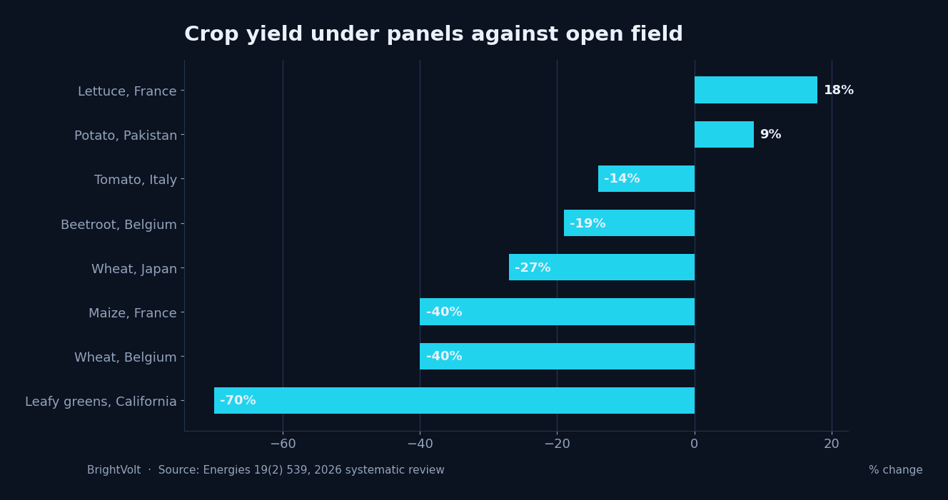 Crop yield under panels against open field