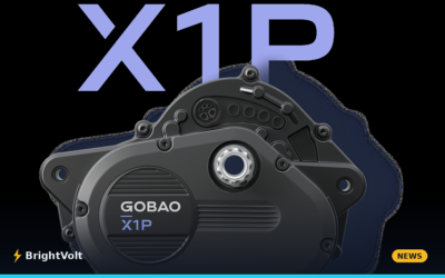 Gobao’s Derailleur-Free Drive Published Its Numbers. One of Them Doesn’t Add Up