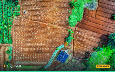 Land Equivalent Ratio: The Number That Sells Agrivoltaics