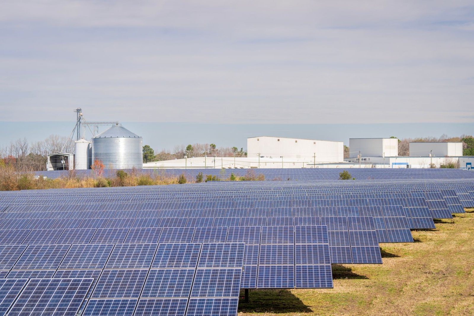 Rows of silicon solar panels installed across an open field under a clear sky