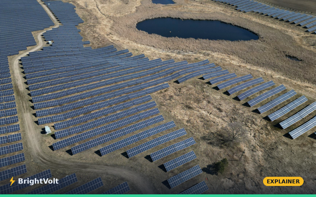 Must-Run Generation: the Fossil Floor That Spills Solar
