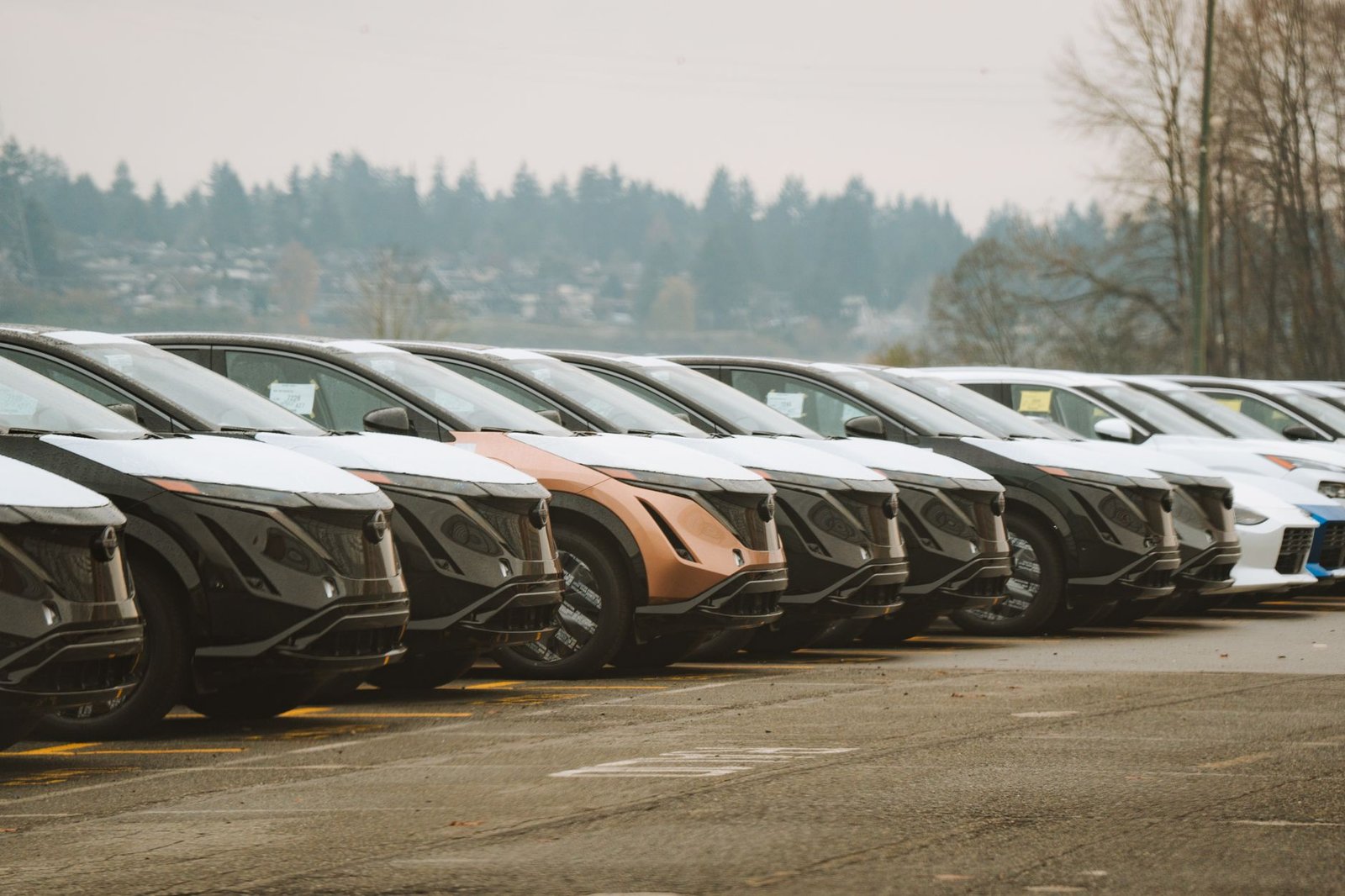 Electric cars lined up on a dealership lot
