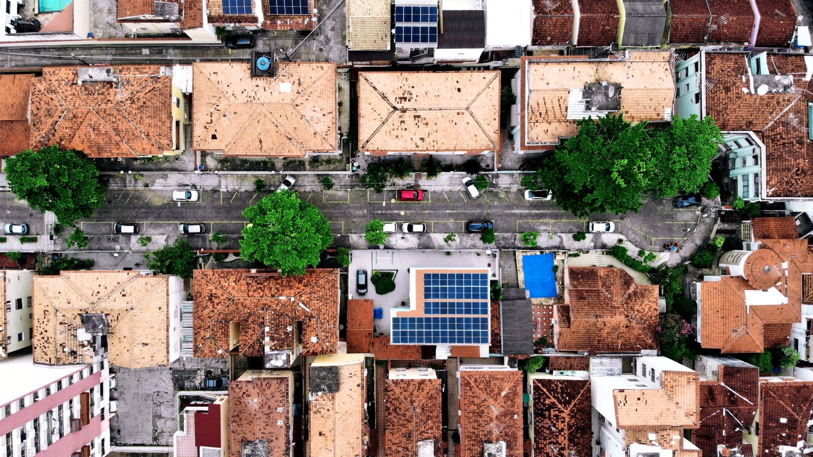 Rows of solar panels on the flat rooftops of a dense city neighbourhood
